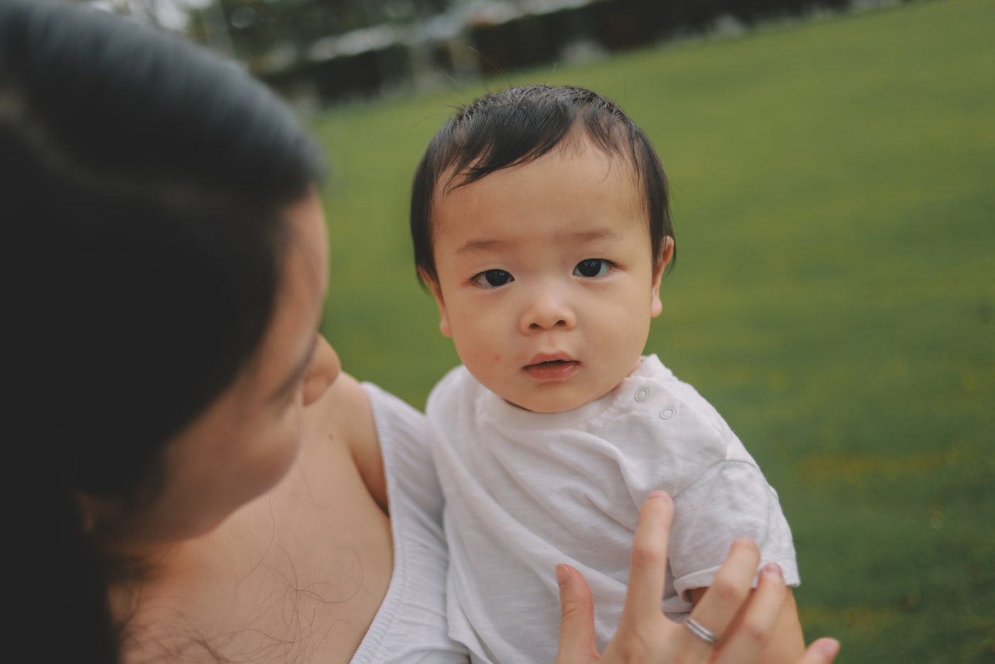 Altiva portfolio preview